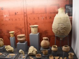 Ciudad de Elche 2022